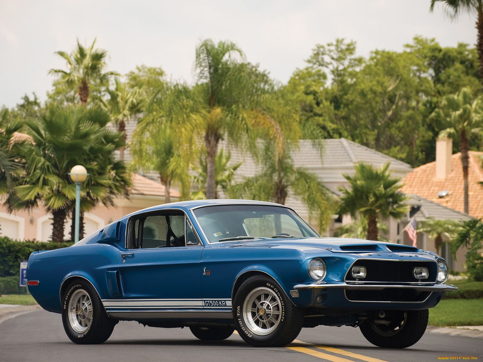, mustang
